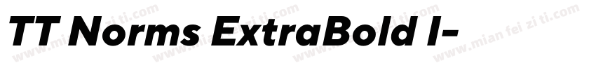 TT Norms ExtraBold I字体转换